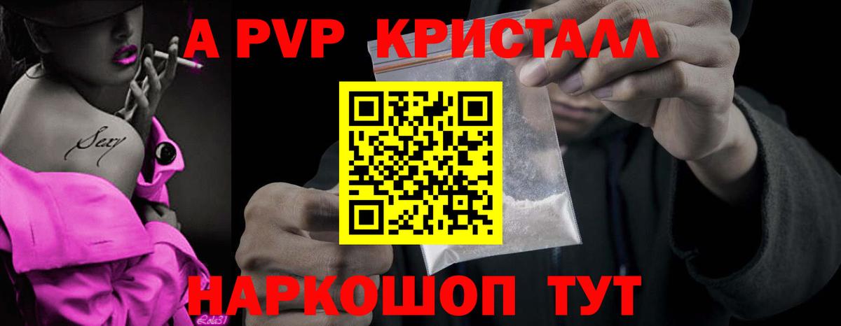Альфа ПВП СК Мончегорск