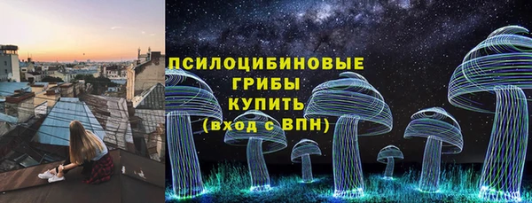 амф Верея