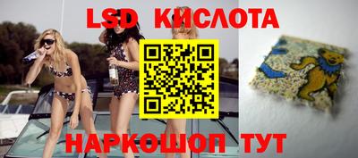 PSILOCYBIN Брянск