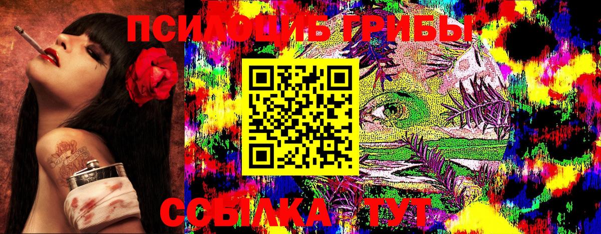 Псилоцибиновые грибы прущие грибы  Вход с VPN  Мончегорск 