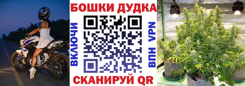 kraken как войти  Мончегорск  Бошки марихуана Amnesia  где купить  